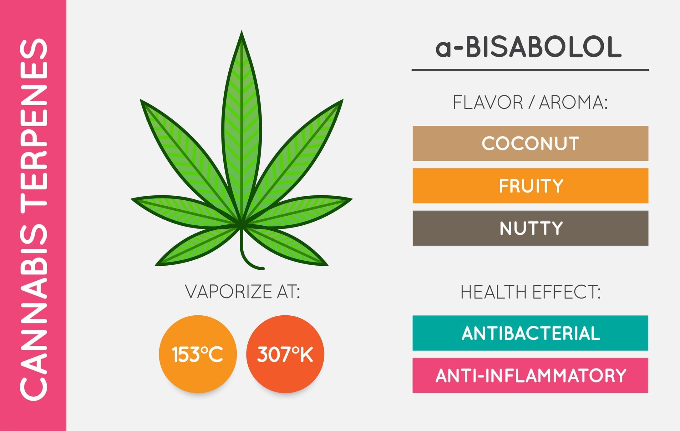 Cannabis Terpene Information Chart Aroma And Flavor With Health Benefits And Vaporize Temperature Cbd And Thc Vector