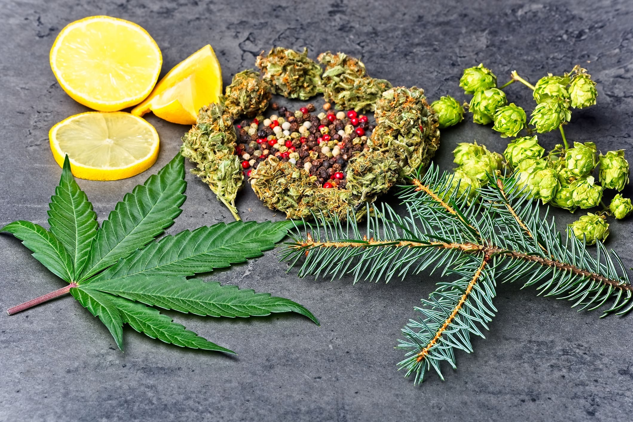 Cannabis Bud And Leaf With Hoppy Pepper Lemon And Fir Needles