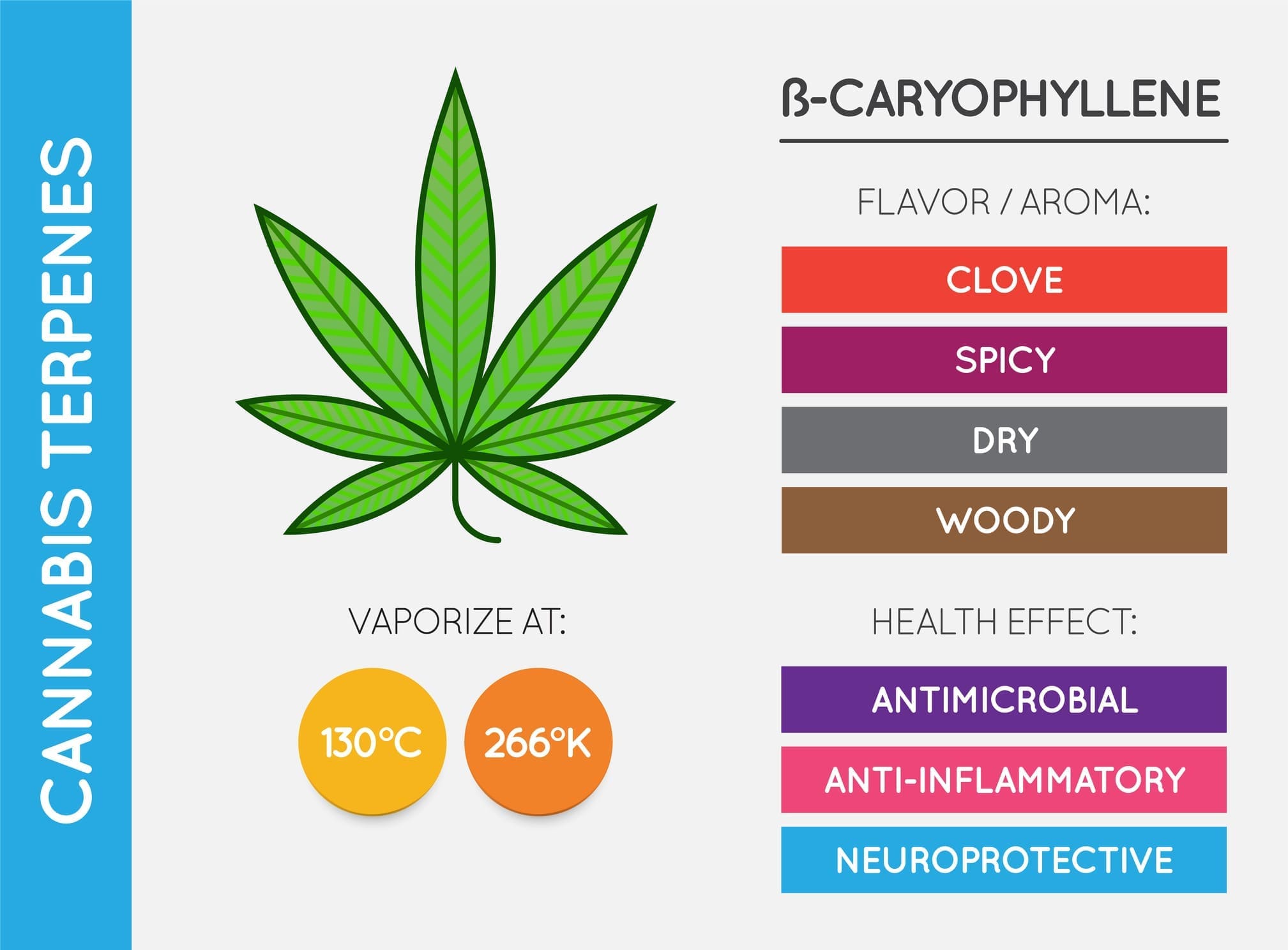 Cannabis Terpene Information Chart Aroma And Flavor With Health Benefits And Vaporize Temperature Cbd And Thc Vector