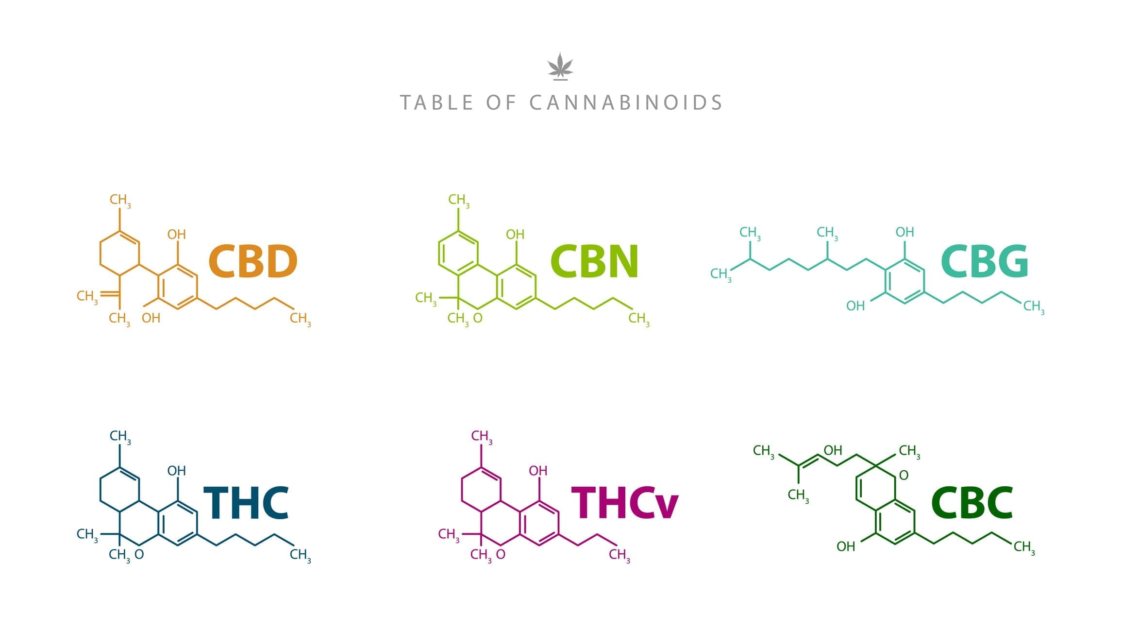 Table Of Cannabinoids Chemical Formulas Of Natural Cannabinoids Isolated On White Background