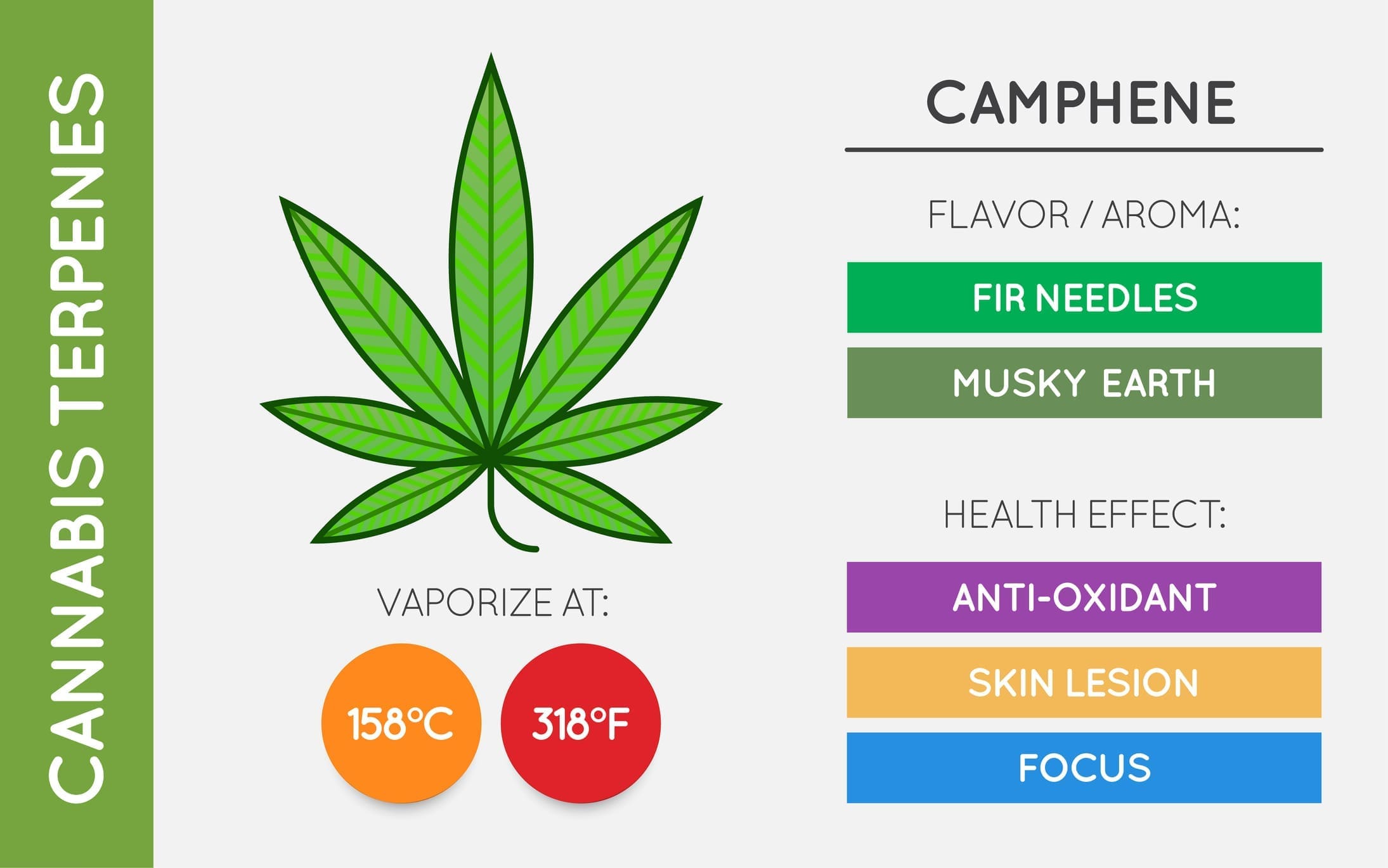 Cannabis Terpene Guide Information Chart Aroma And Flavor With Health Benefits And Vaporize Temperature Vector