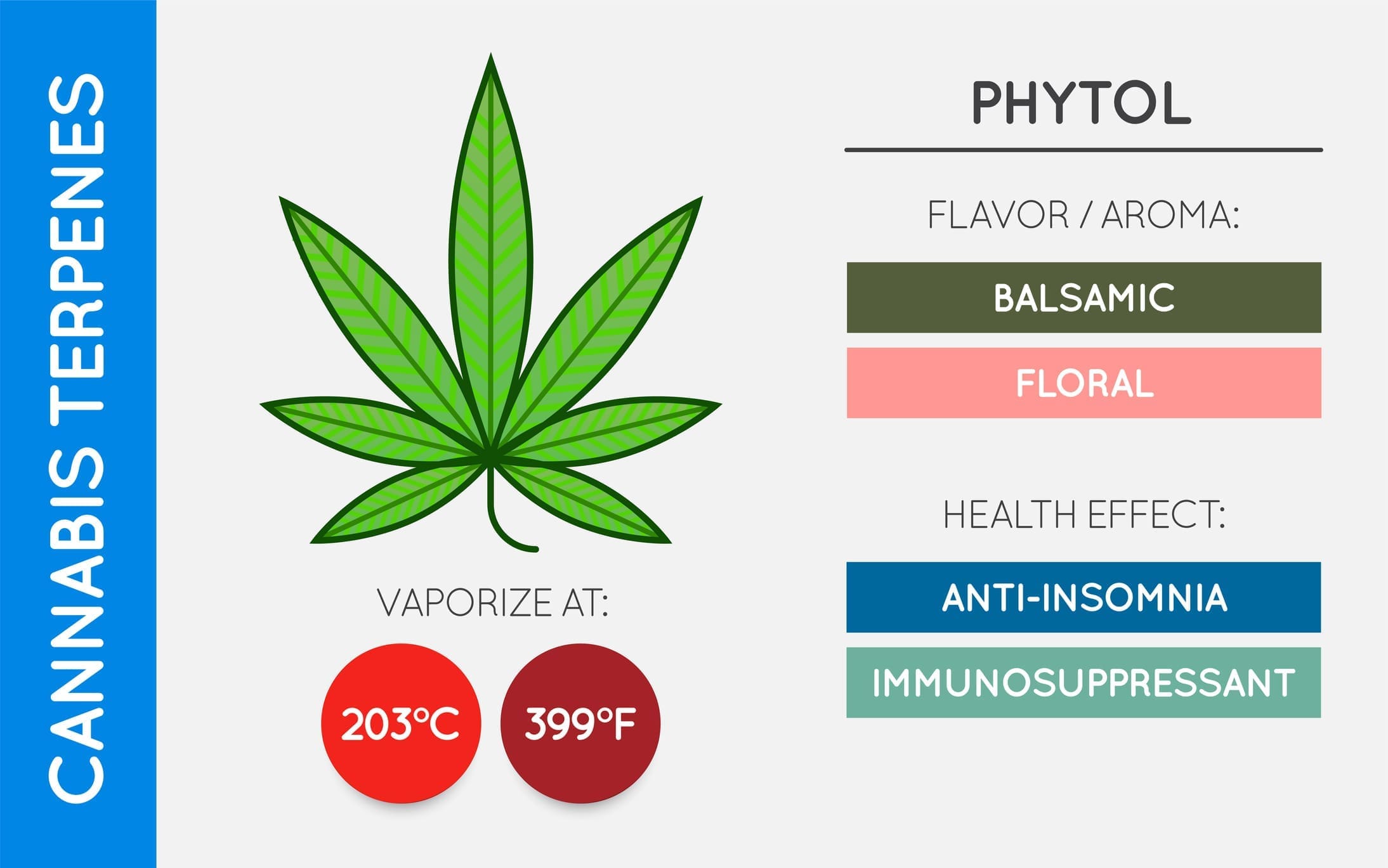 Cannabis Terpene Guide Information Chart Aroma And Flavor With Health Benefits And Vaporize Temperature Vector