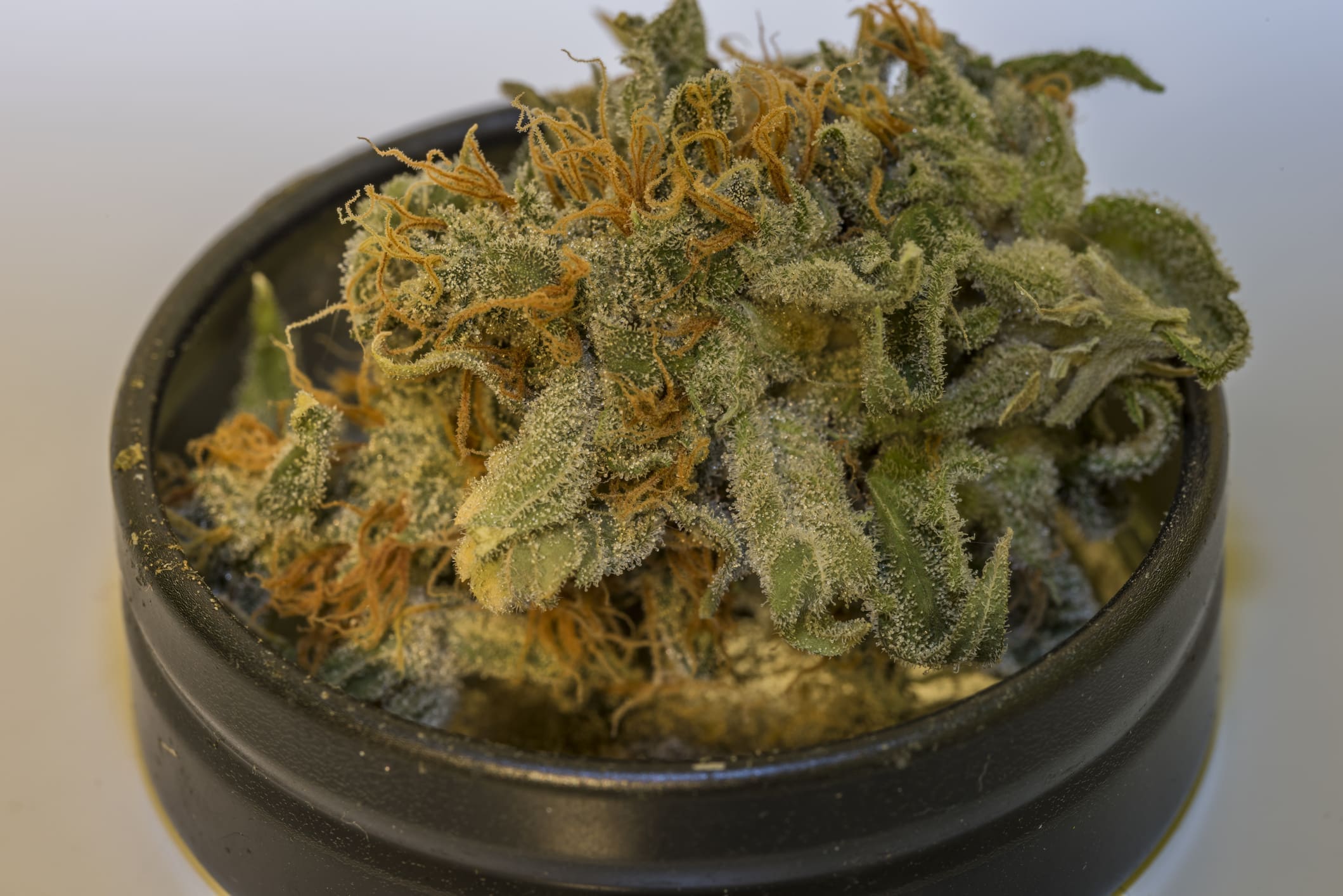 Aged Dry Bloom Of Ak Medical Marijuana